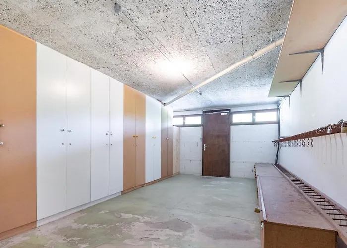 L'ourson Des Myrtilles La Bresse