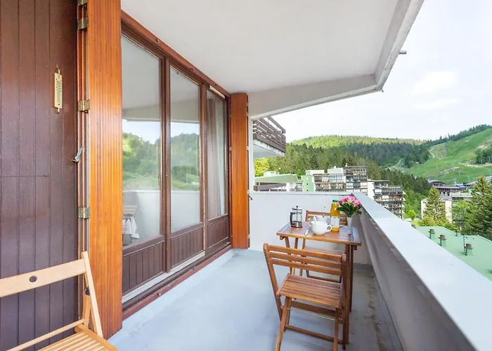 L'ourson Des Myrtilles *